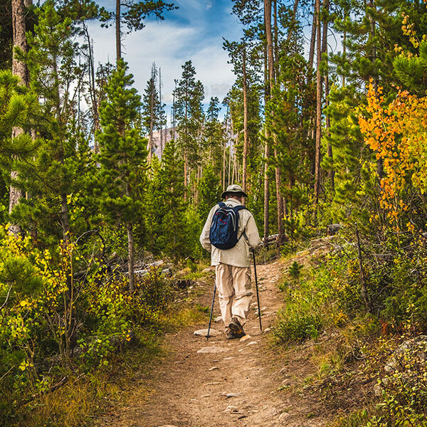 Revel in 360° of Recreation 