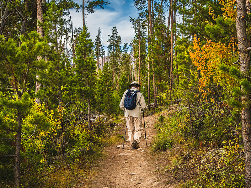 Revel in 360° of Recreation 