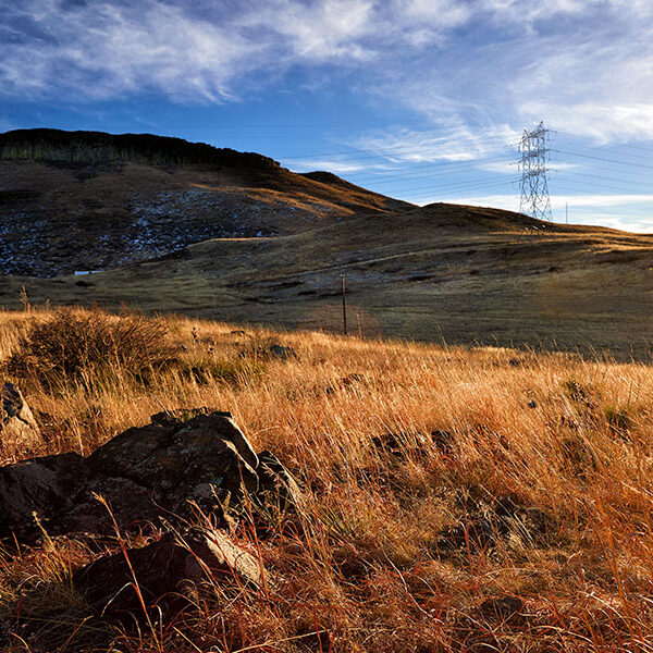 See Yourself in Our Vista 